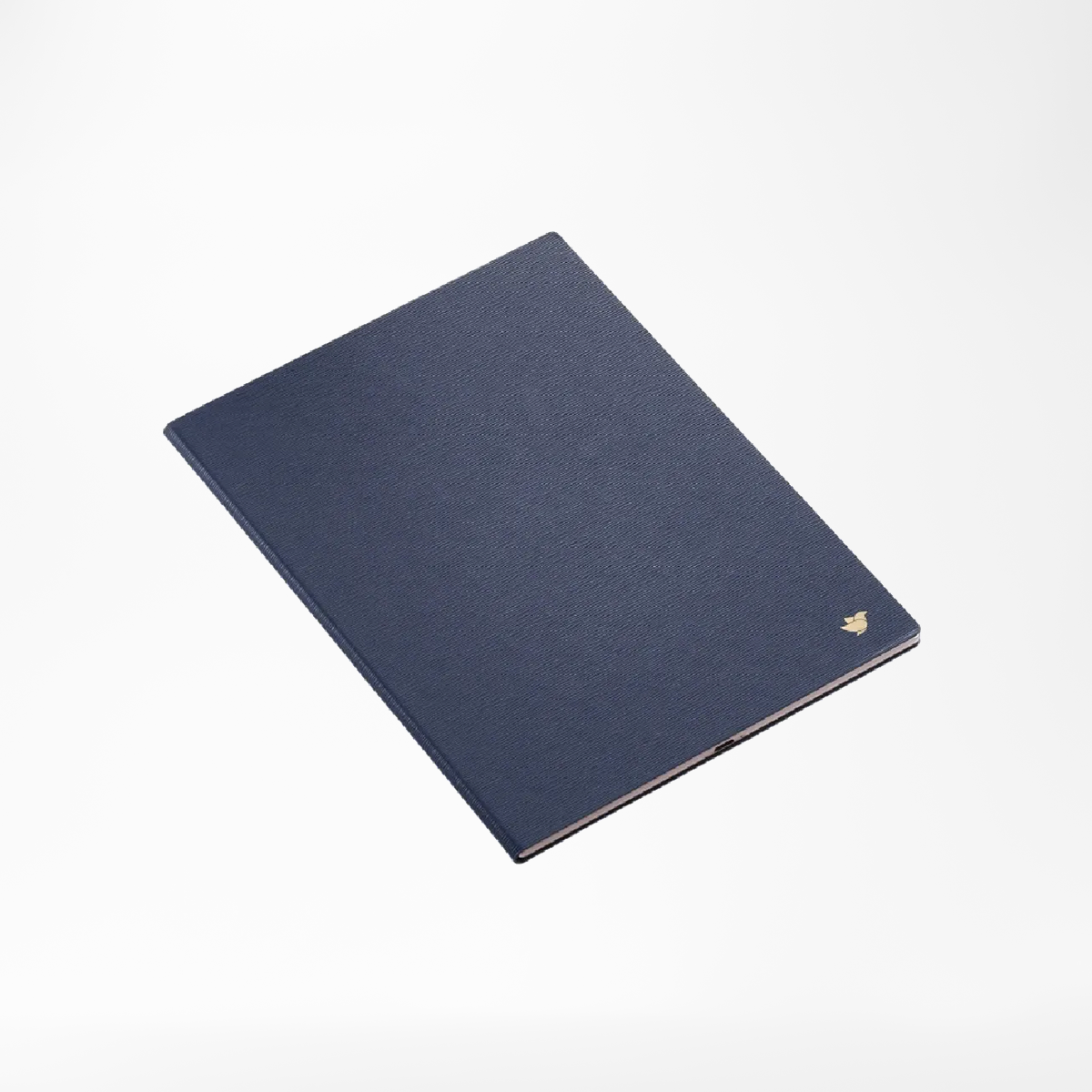 iFLYTEK AINOTE 2 Protective Case