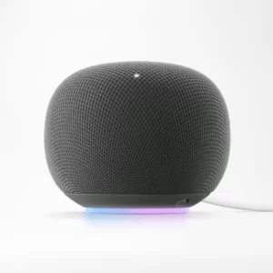 Google Home Speaker
